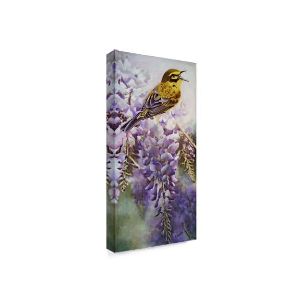 Carol J Rupp 'Yellow Bird In Wisteria' Canvas Art,24x47